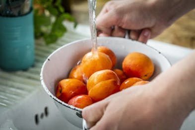 In einem weißen Sieb werden Aprikosen unter einem Wasserstrahl gewaschen.