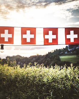 Schweizer Aop Kaese Schweizer Flagge