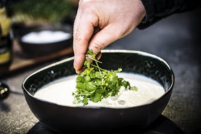 Petersilie, Kerbel und Kresse auf die Suppe geben und servieren.
