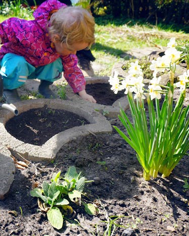 Kleinkinder im sonnigen Garten beim Einpflanzen von Kräutern