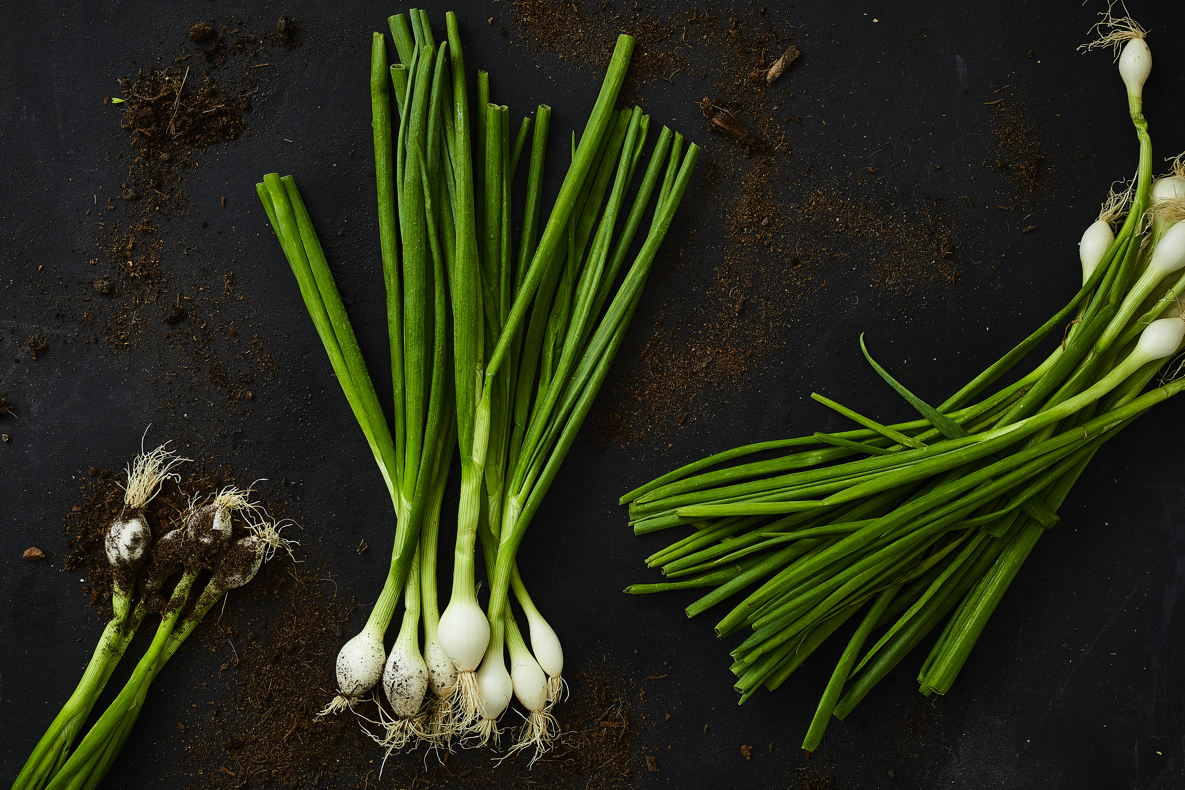 Tipps Zum Frühlingszwiebel Schneiden Und Zubereiten