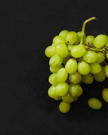 Eine Rispe mit grünen Weintrauben auf schwarzem Untergrund