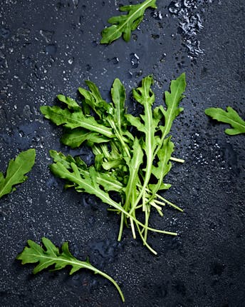 Mehrere lose Blätter von Rucola-Salat auf dunklem Untergrund