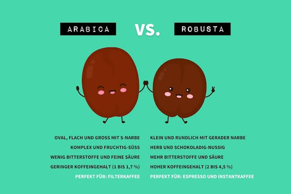 Grafik mit spannenden Text-Infos zum Unterschied von Arabica und Robusta