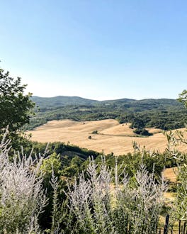 Landschaftsbild der Toskana