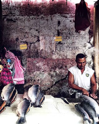 Fische-auf-einem-Markt