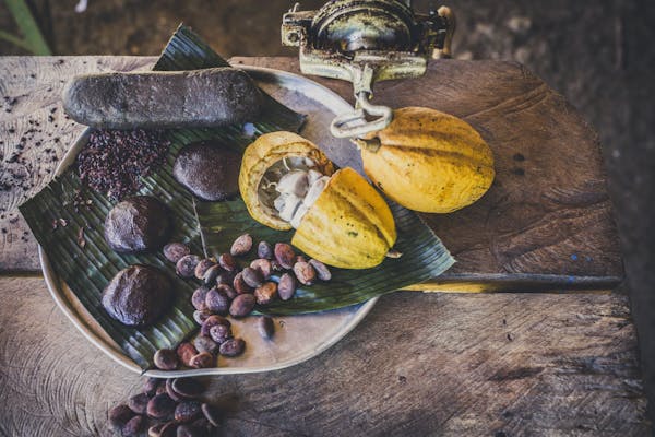 Ein Teller mit einer ganzen und einer aufgeschnittenen Kakaofrucht neben Kakaobohnen und gemahlener Kakaomasse neben einer ursprünglichen Kakaopresse auf einem Holzuntergrund