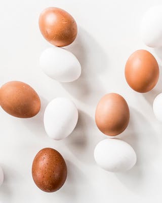 weiße und braune Eier auf weißem Untergrund von oben fotografiert