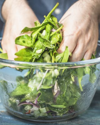 Blattspinat wird in einer Schüssel von Hand als Salat gemischt.