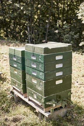 Die Bienenbehausung (Beute)