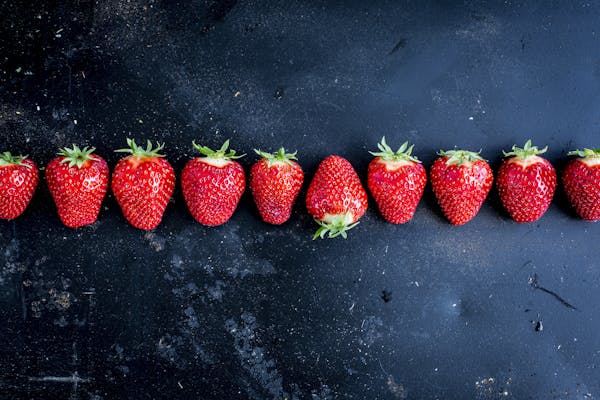Eine Reihe von frischen Erdbeeren vor einem dunklen Hintergrund