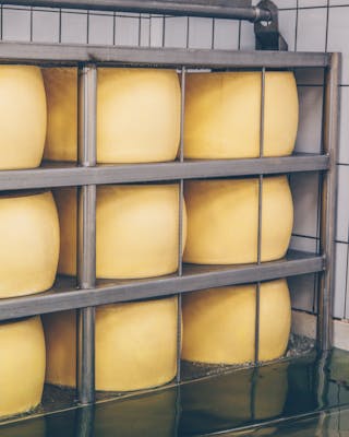 Parmesanlaibe werden in Salzlake getaucht bei der Paremsanherstellung